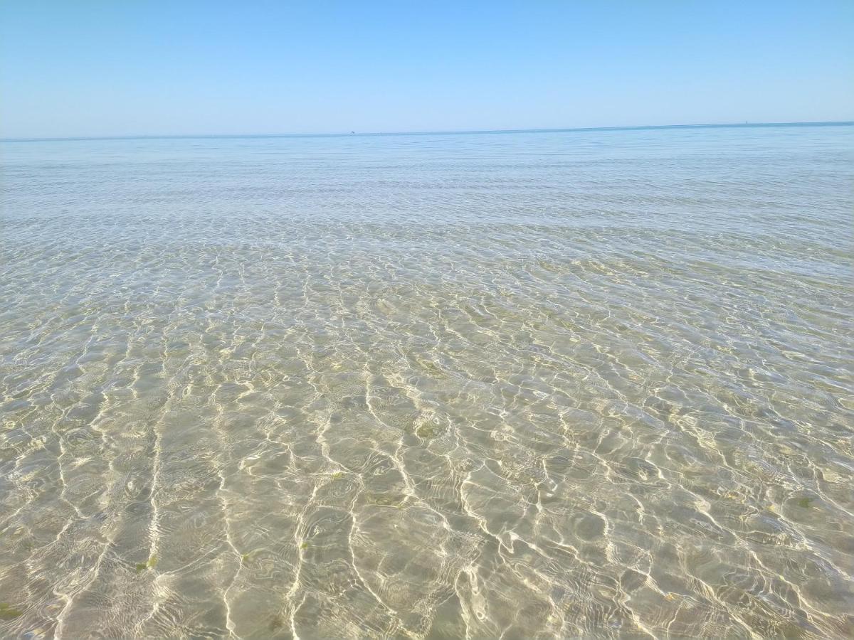 Hotel Petit Silvi Marina Kültér fotó