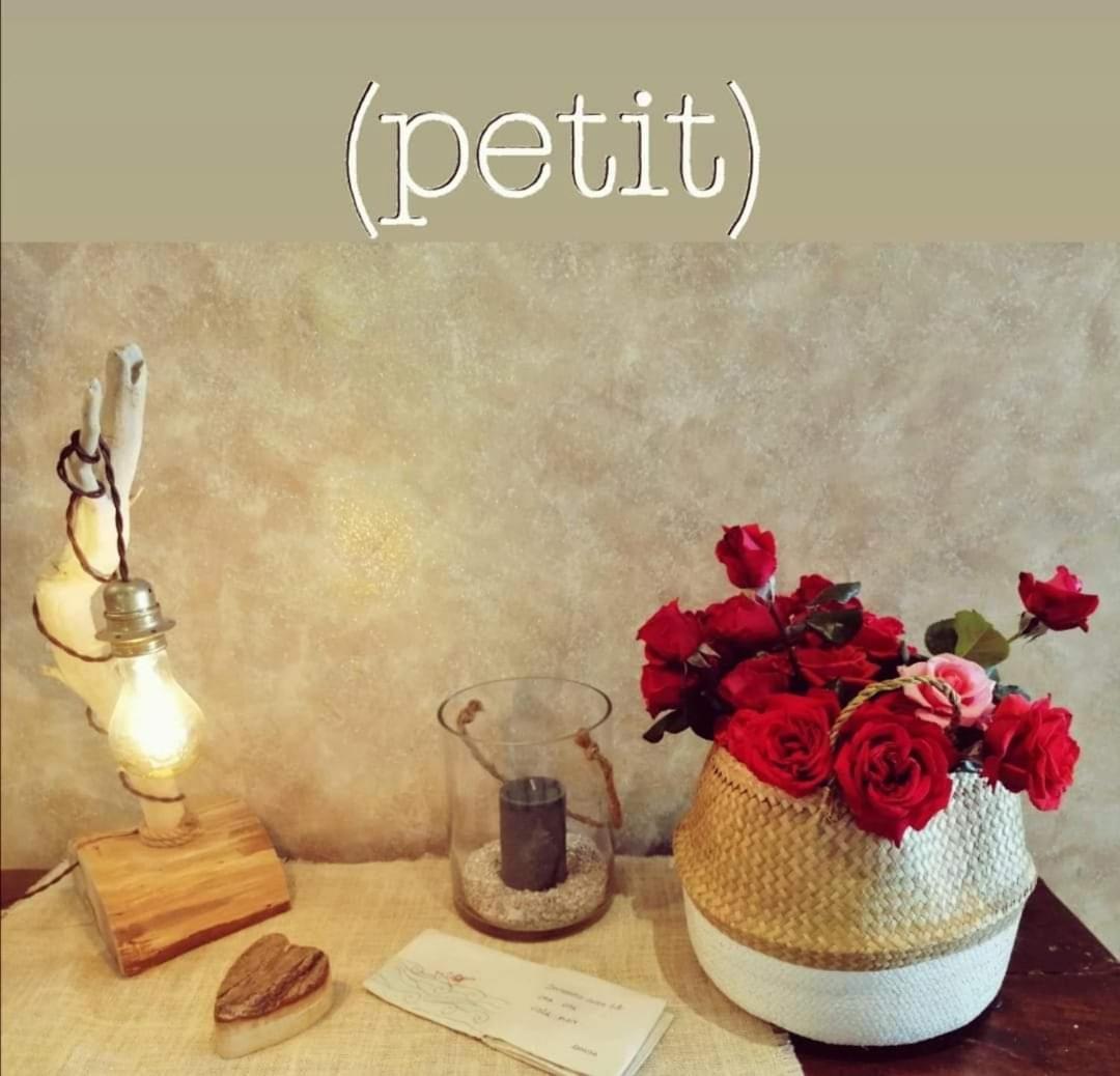 Hotel Petit Silvi Marina Kültér fotó