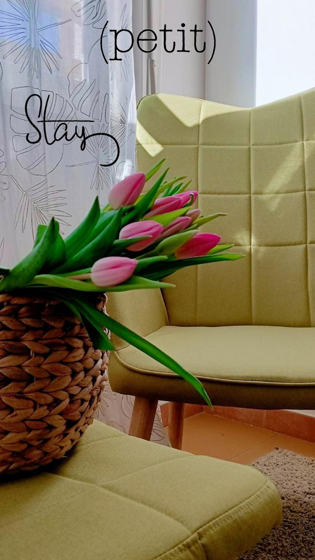Hotel Petit Silvi Marina Kültér fotó