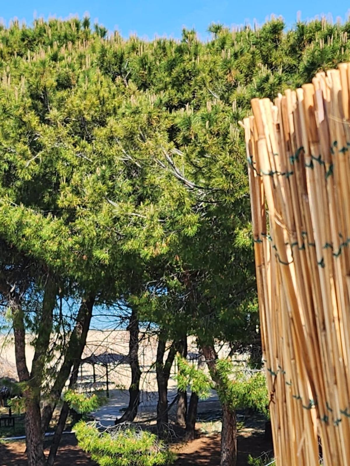 Hotel Petit Silvi Marina Kültér fotó