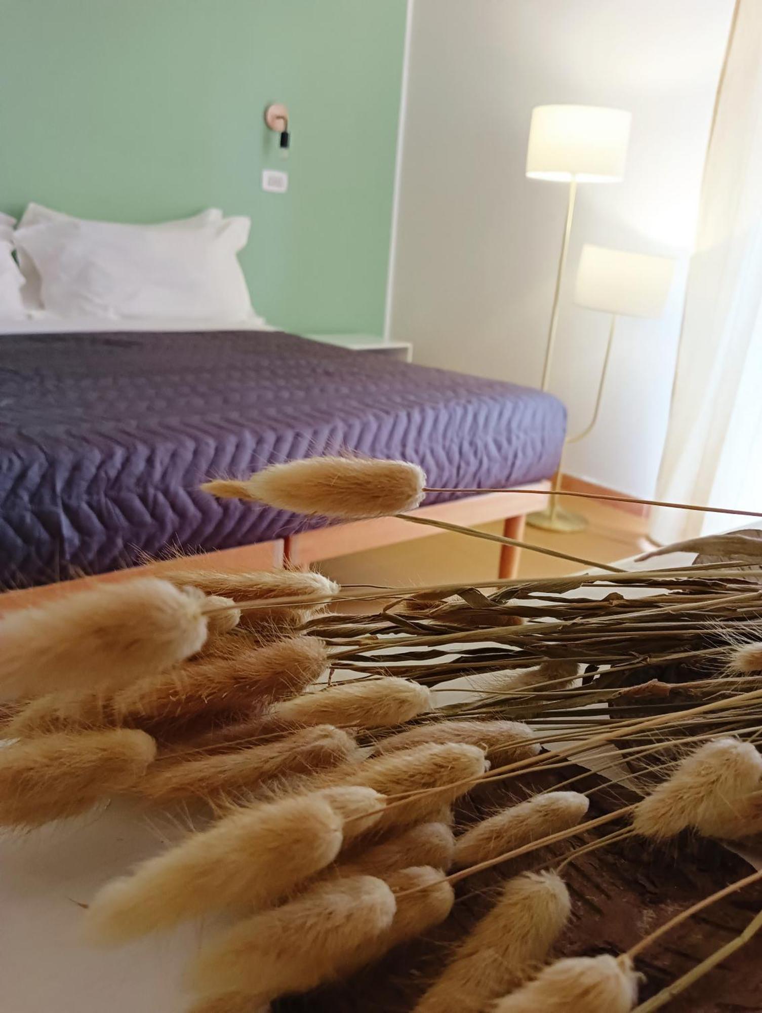 Hotel Petit Silvi Marina Kültér fotó