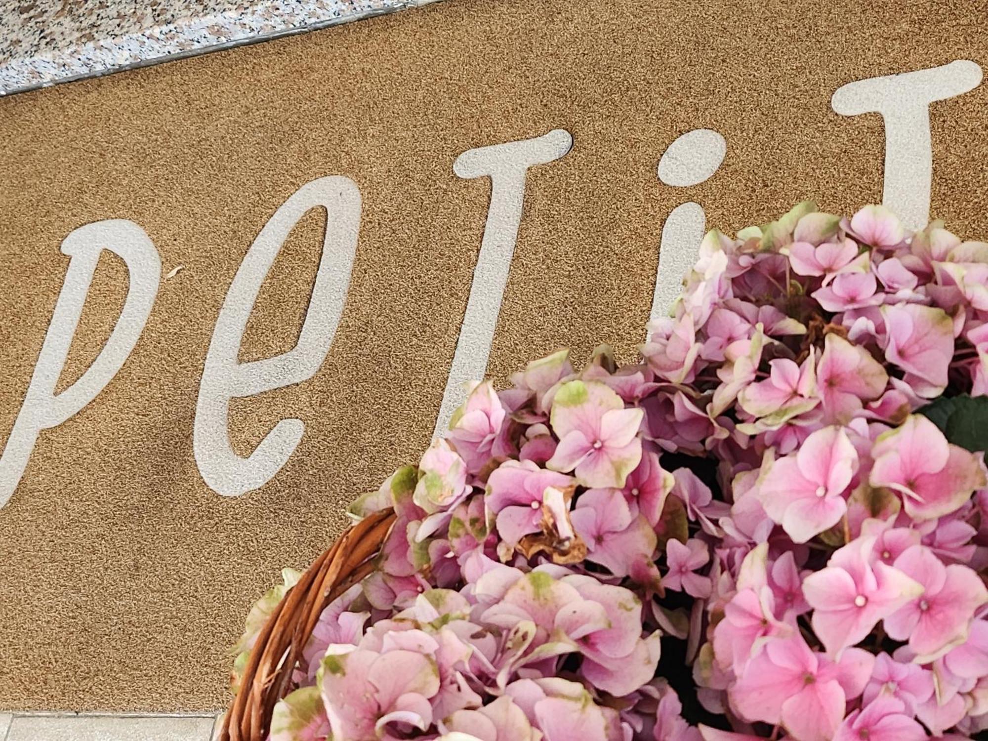 Hotel Petit Silvi Marina Kültér fotó