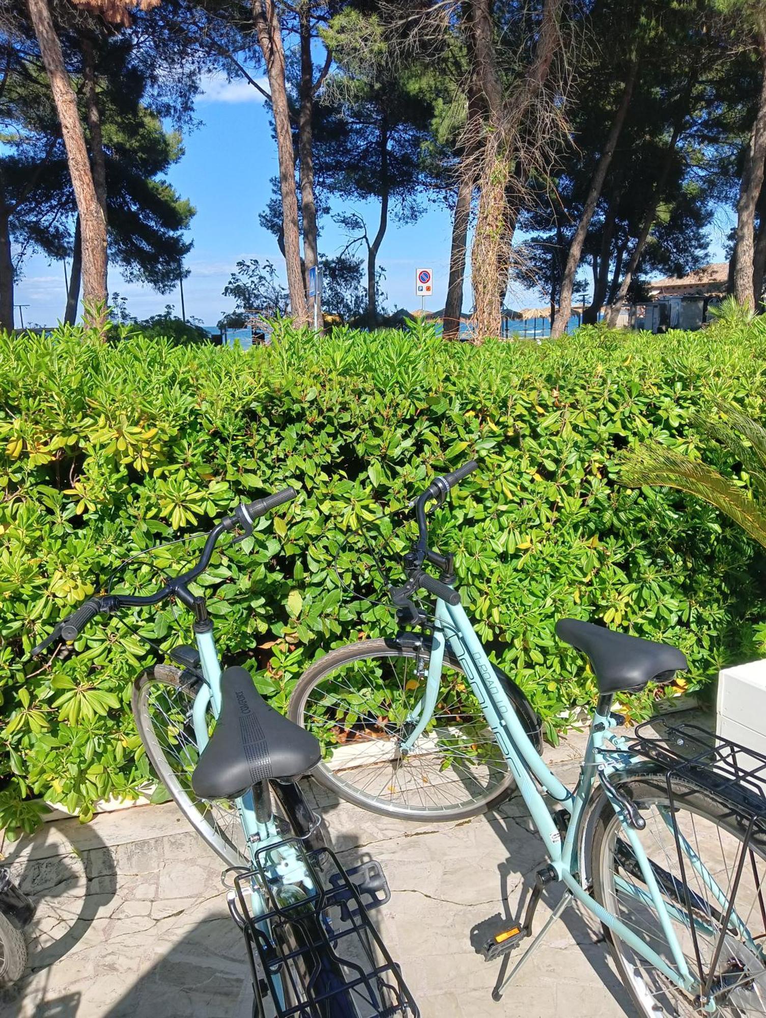 Hotel Petit Silvi Marina Kültér fotó