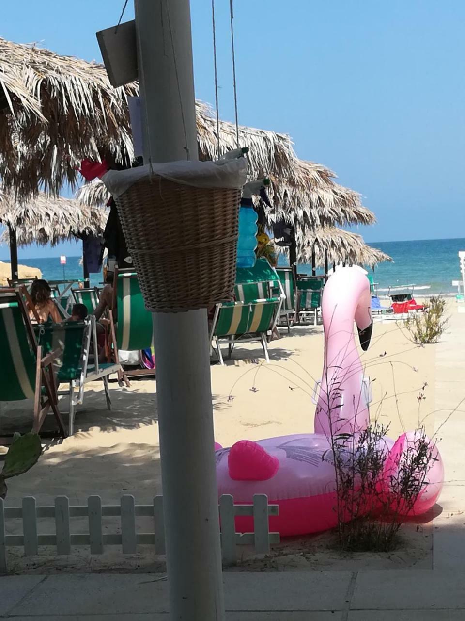Hotel Petit Silvi Marina Kültér fotó