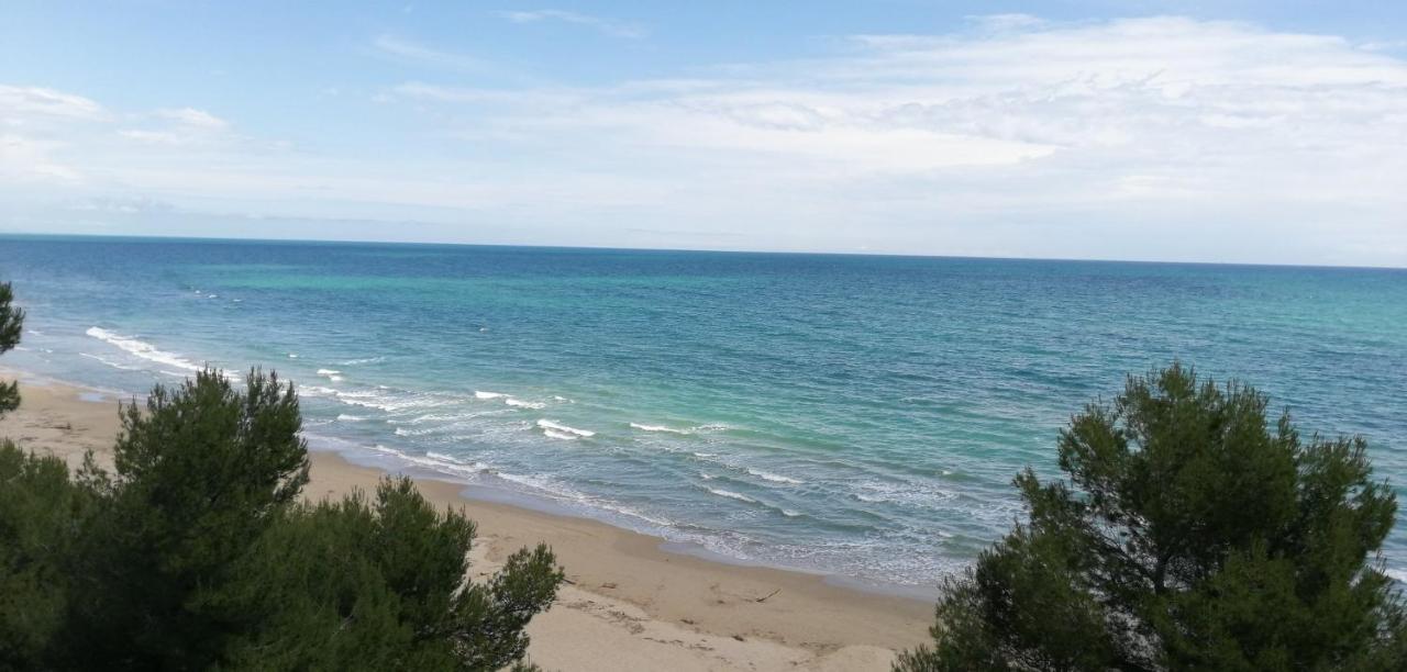 Hotel Petit Silvi Marina Kültér fotó